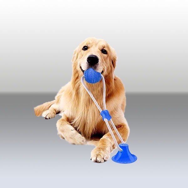 Mascotas Tienda Online